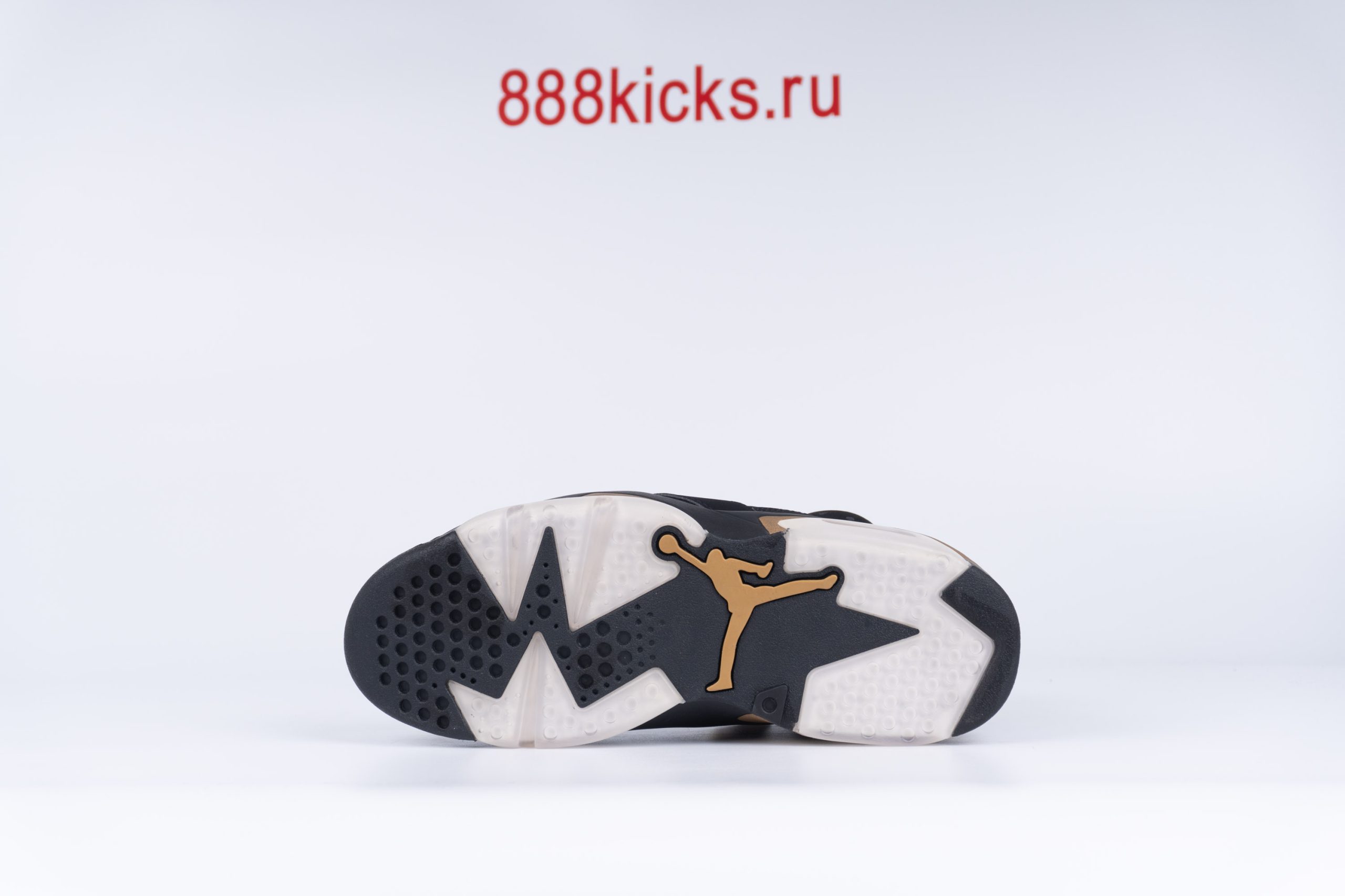 Jordan 6 Retro DMP 2020