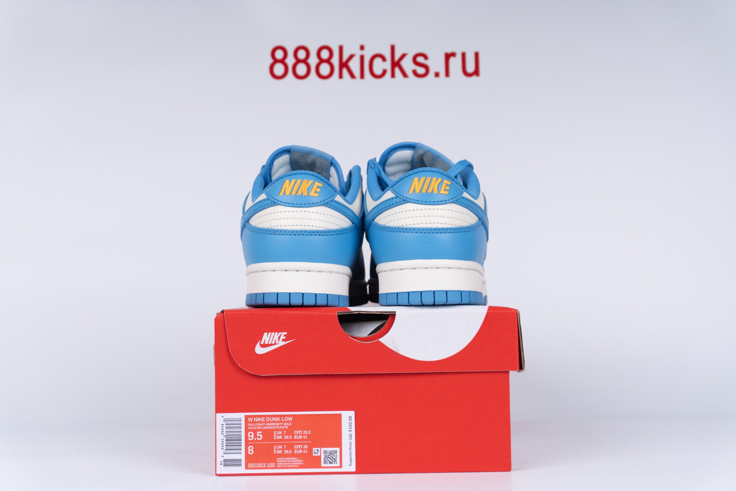 Nike Dunk Low Coast (W)