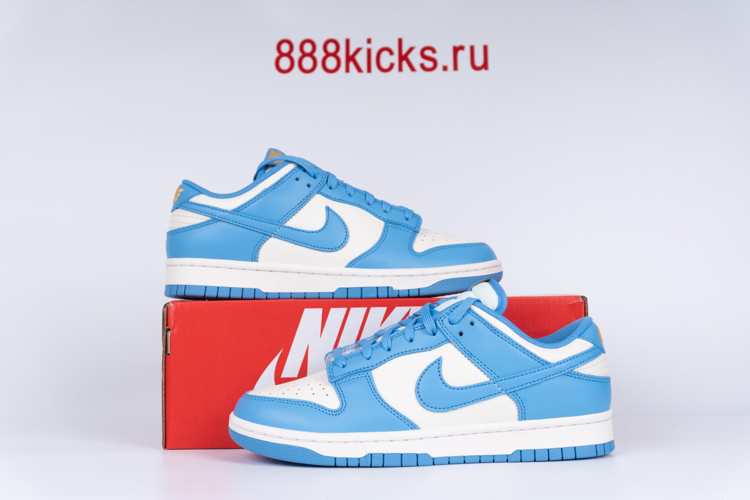 Nike Dunk Low Coast (W)