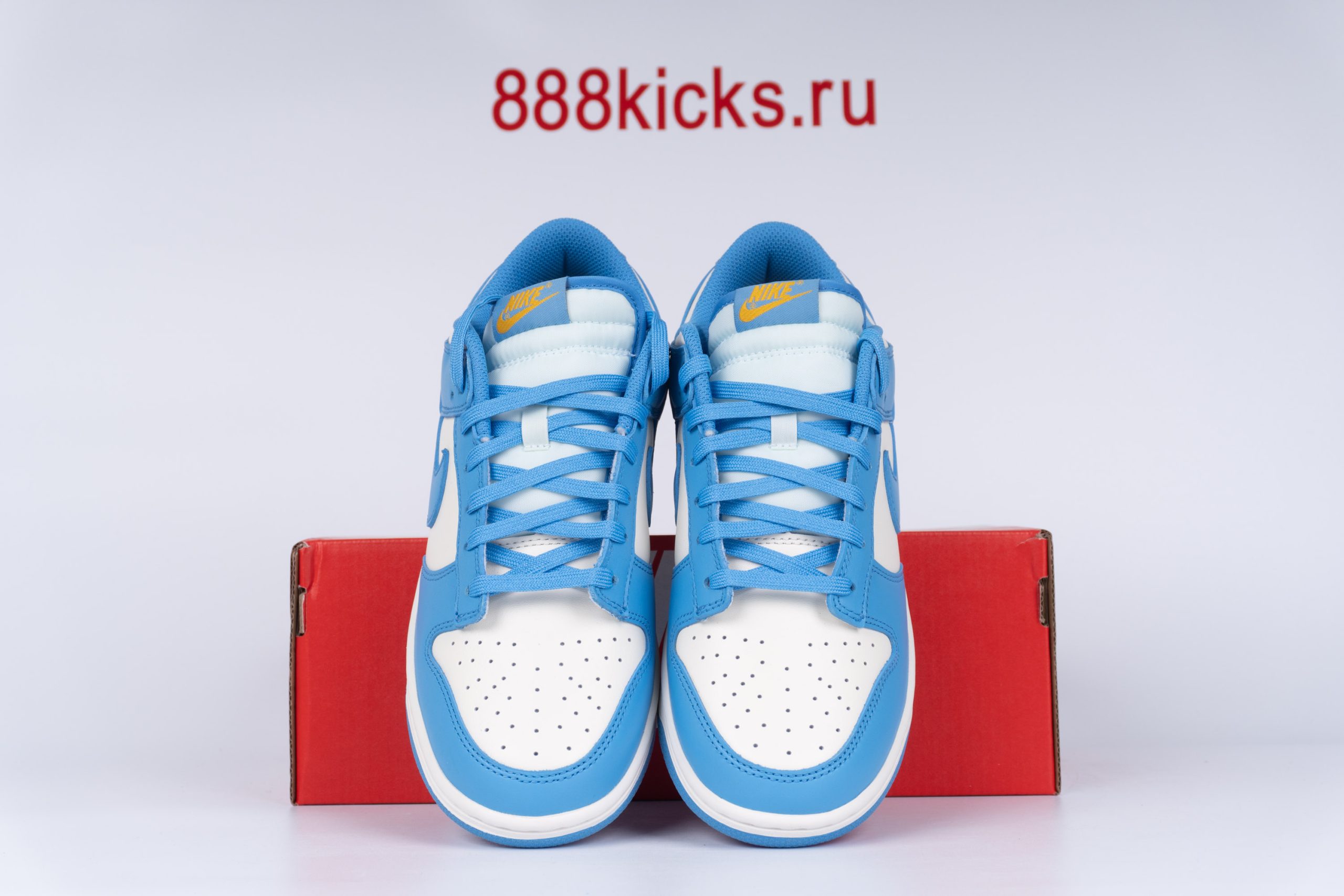 Nike Dunk Low Coast (W)