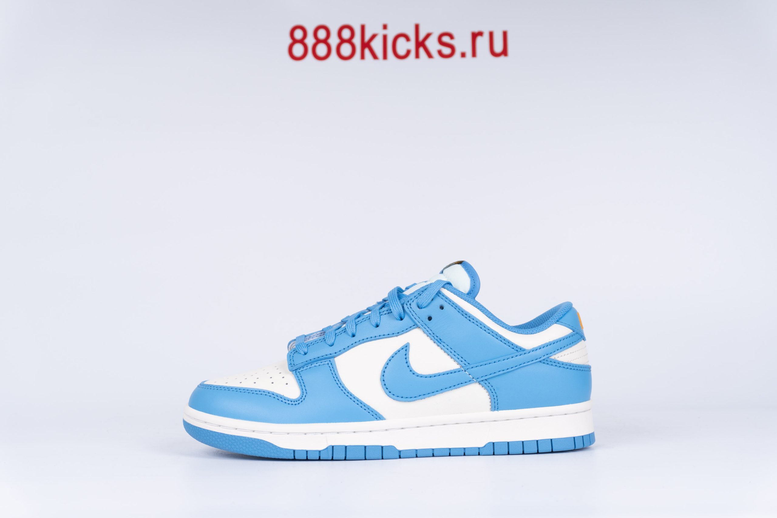 Nike Dunk Low Coast (W)
