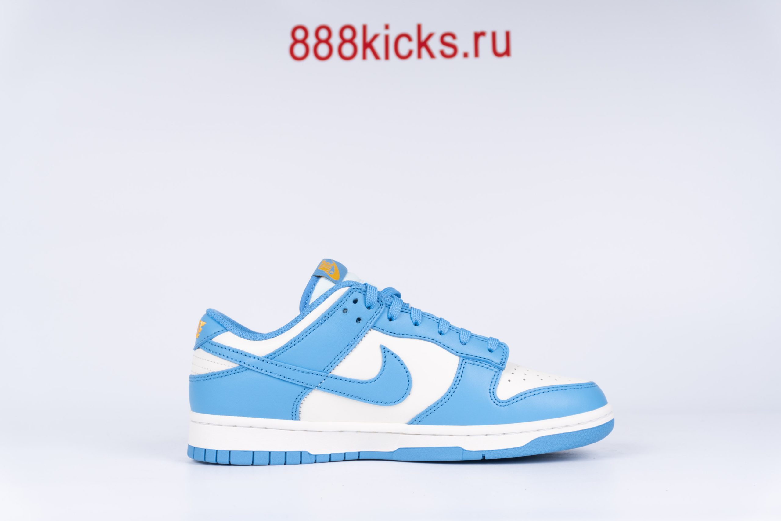 Nike Dunk Low Coast (W)
