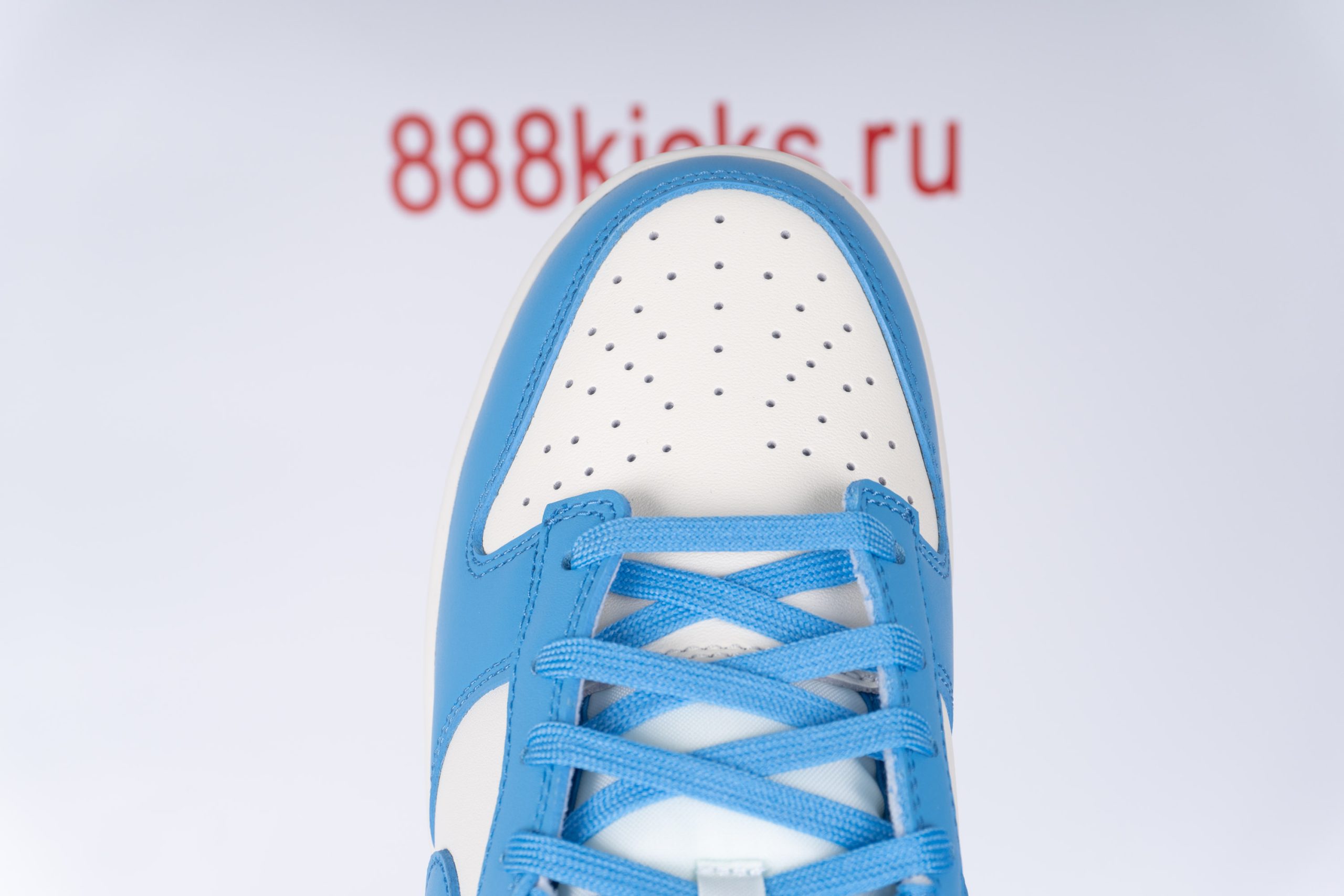 Nike Dunk Low Coast (W)