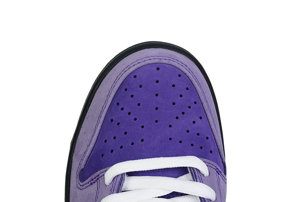 Nike SB Dunk Low Concepts Purple Lobster