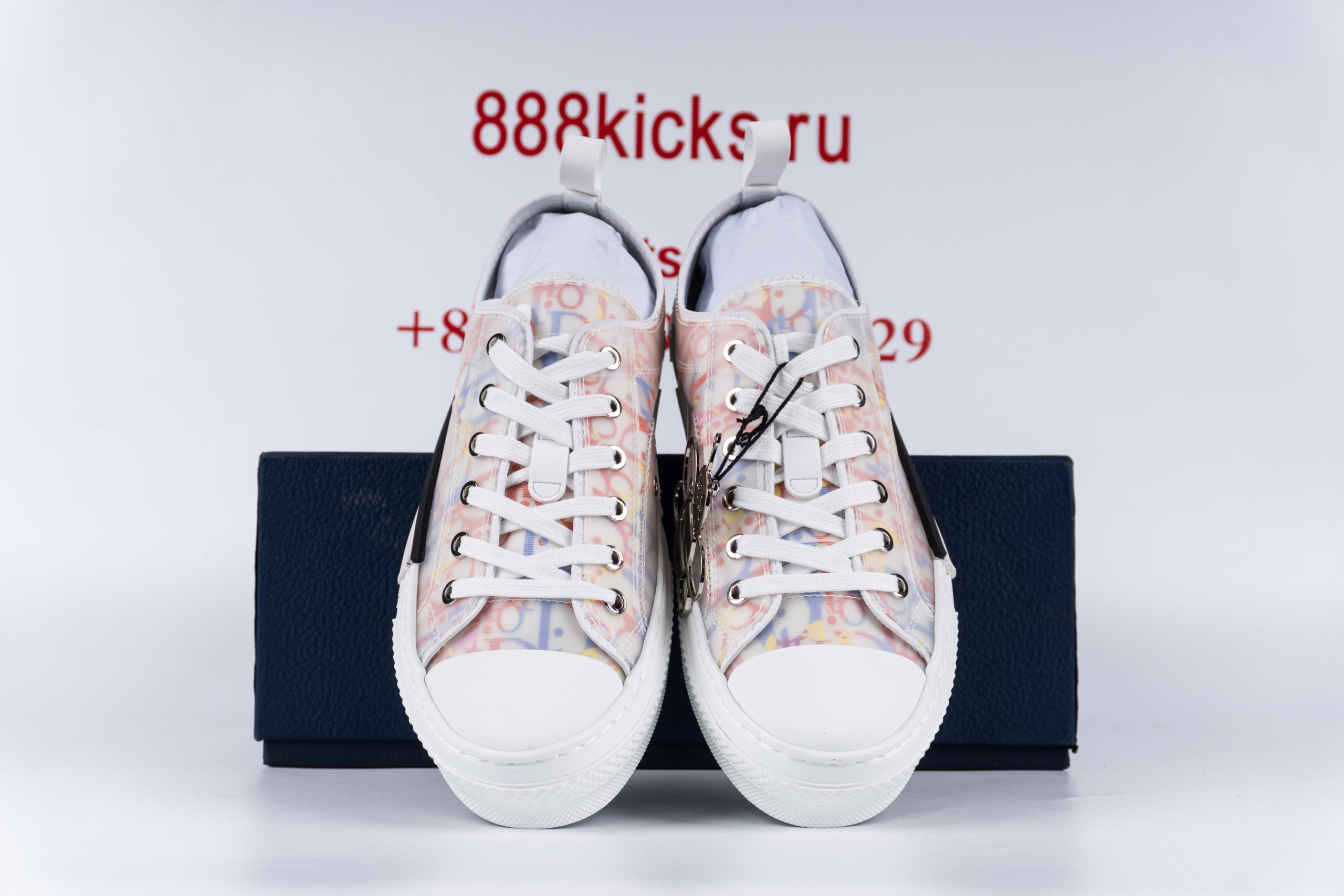 D1or B23 Low Top Multicolor Oblique