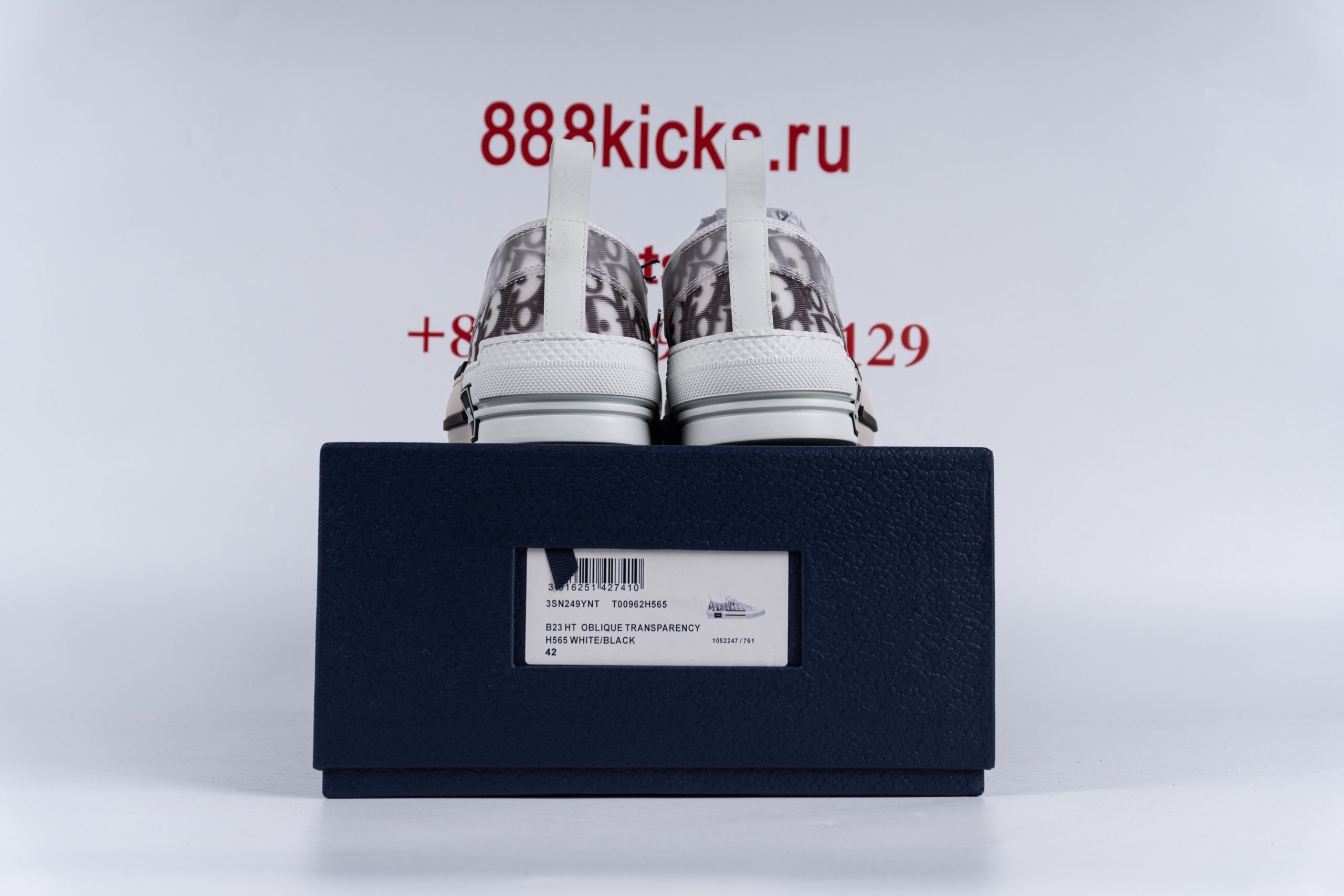D*or b23 low top logo oblique