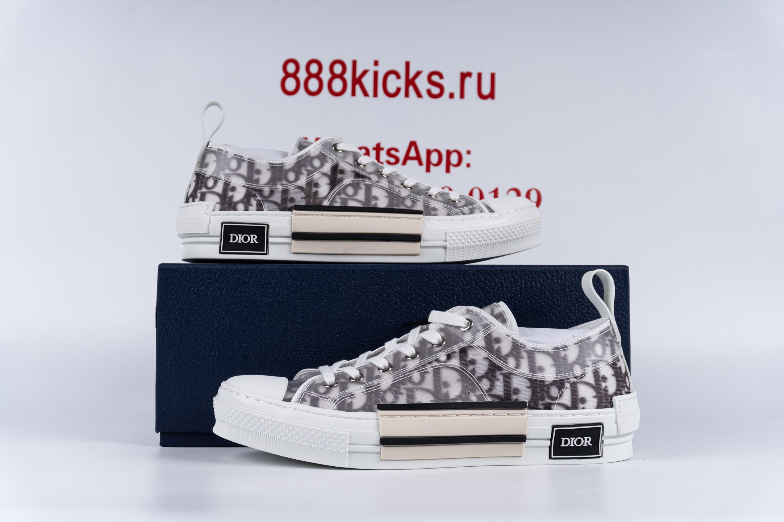 D*or b23 low top logo oblique