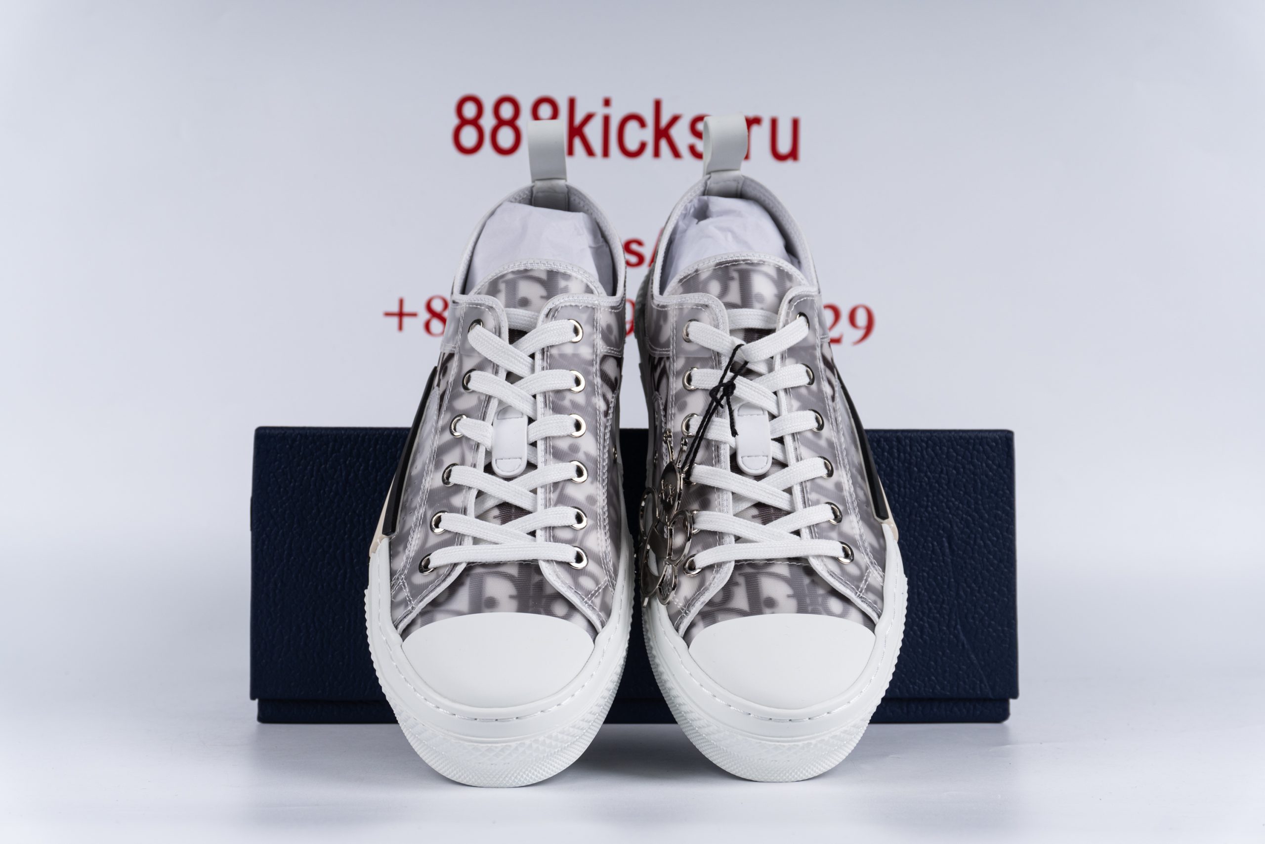 D*or b23 low top logo oblique