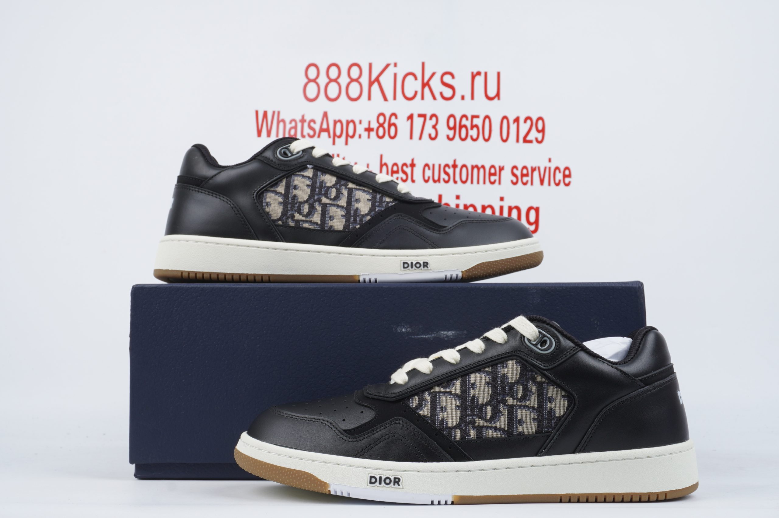 D*or b27 low black beige
